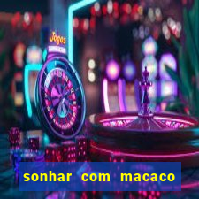 sonhar com macaco o que significa